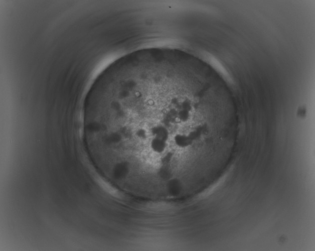 X0000094961079200712131640