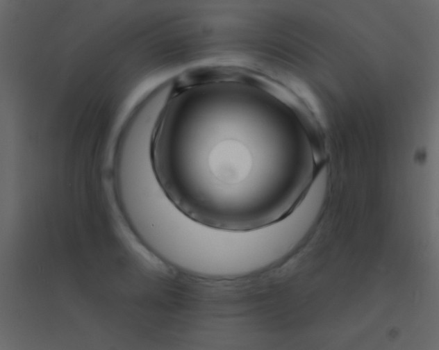 X0000094961080200712131640