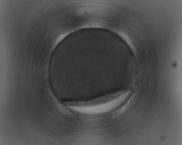 X0000094961081200712131640