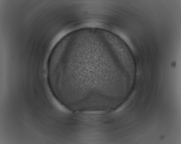 X0000094961082200712131640