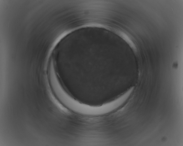 X0000094961084200712131640