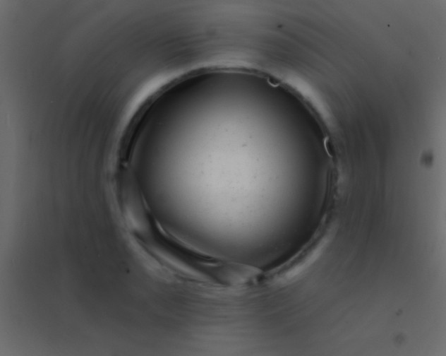 X0000094961085200712131640