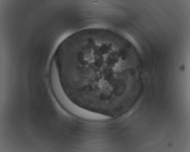 X0000094961087200712131640