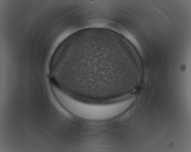 X0000094961088200712131640