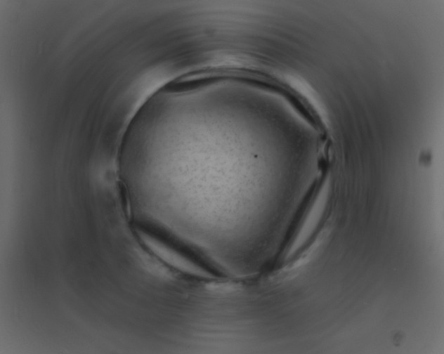 X0000094961089200712131640