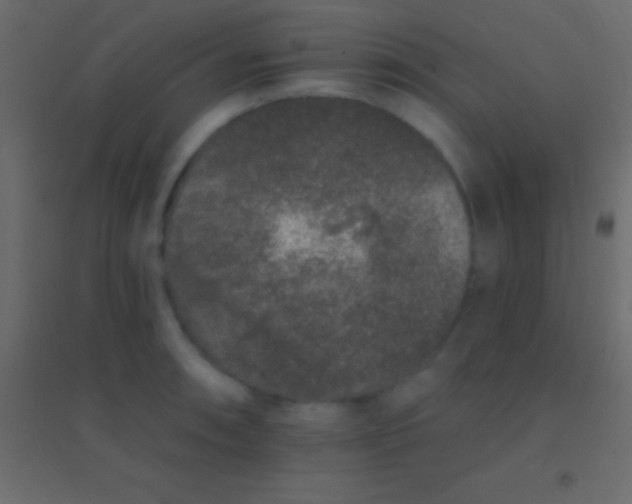 X0000094961090200712131640