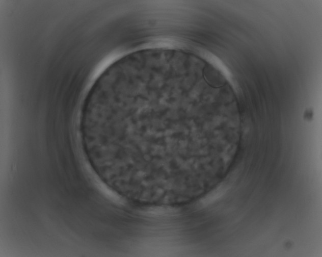 X0000094961091200712131640