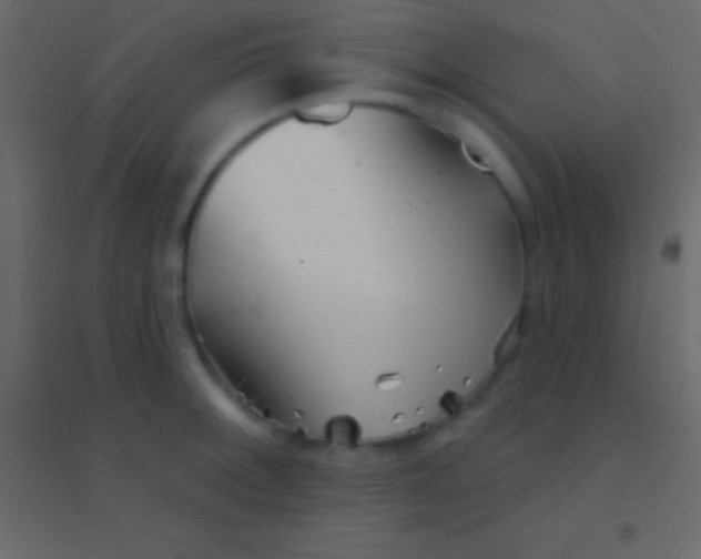 X0000094961092200712131640