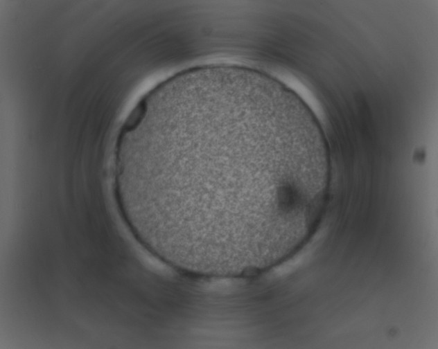 X0000094961093200712131640