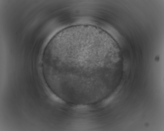 X0000094961094200712131640