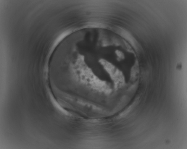 X0000094961095200712131640