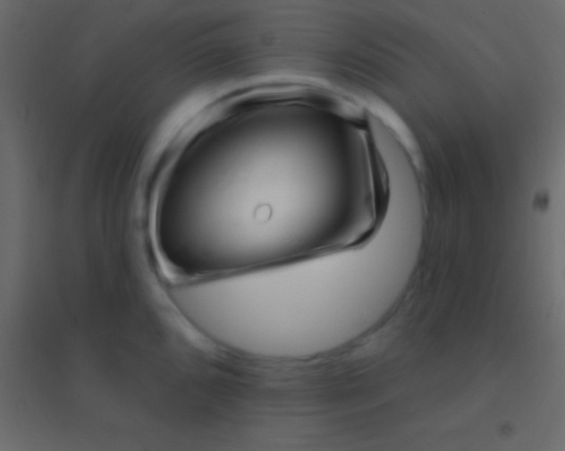 X0000094961096200712131640