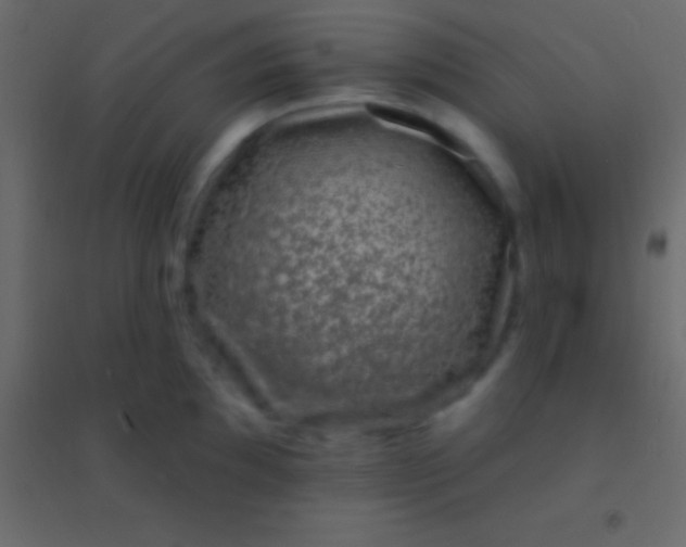 X0000094961097200712131640