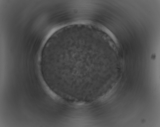 X0000094961099200712131640