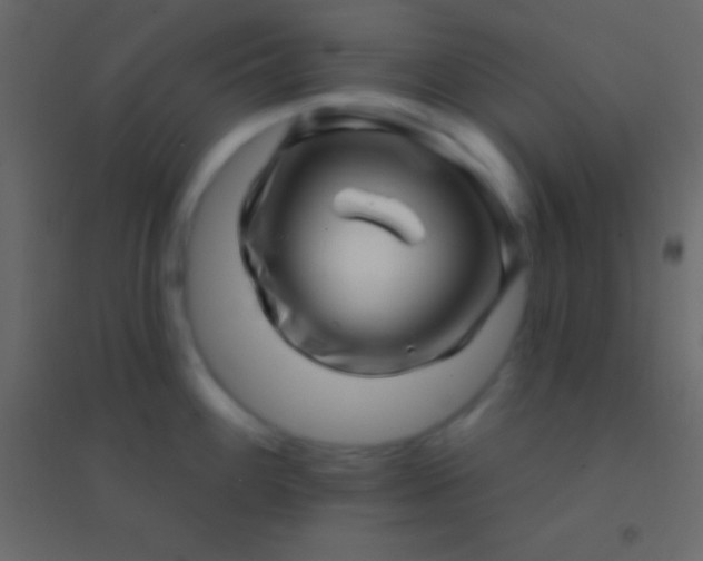 X0000094961100200712131640