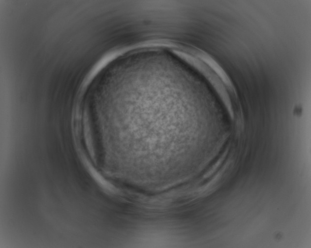 X0000094961101200712131640