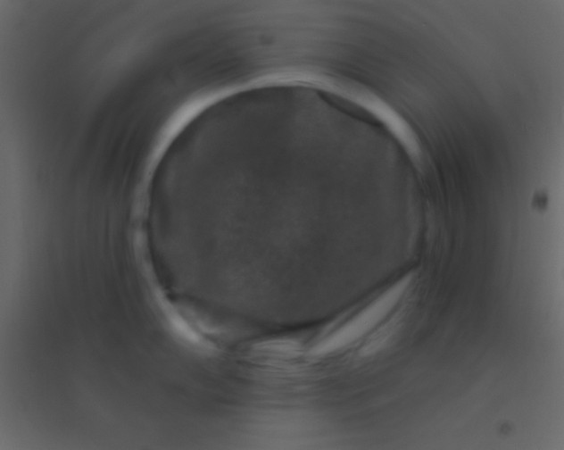 X0000094961102200712131639