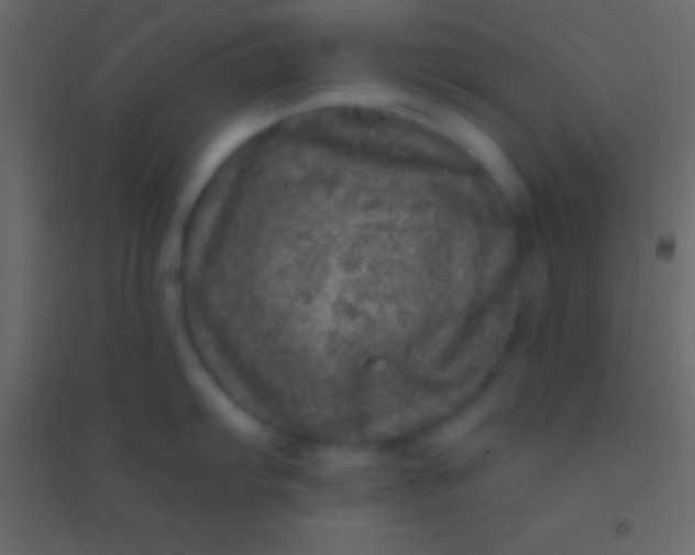 X0000094961103200712131639