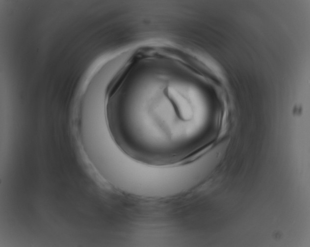 X0000094961104200712131639