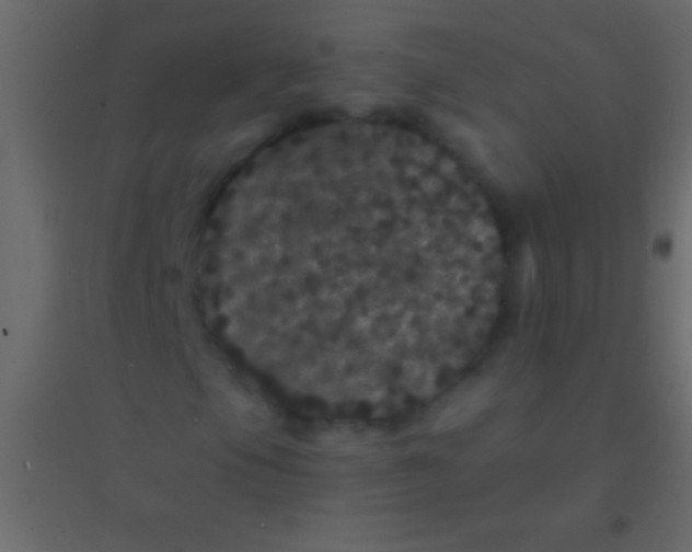 X0000094961105200712131639