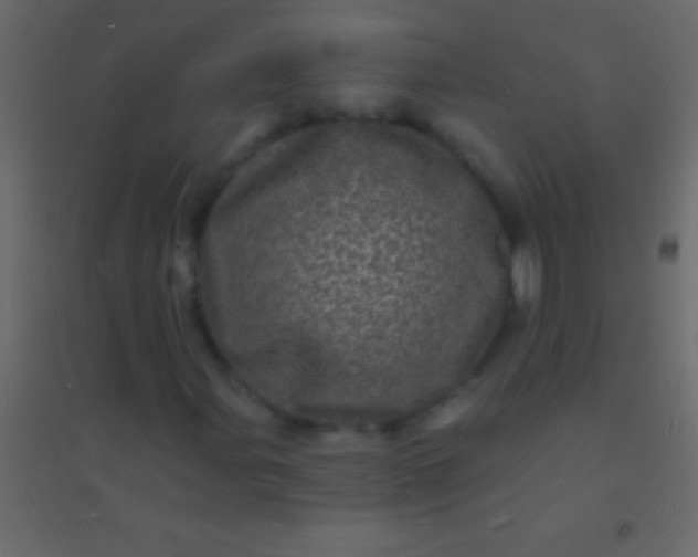 X0000094961107200712131639