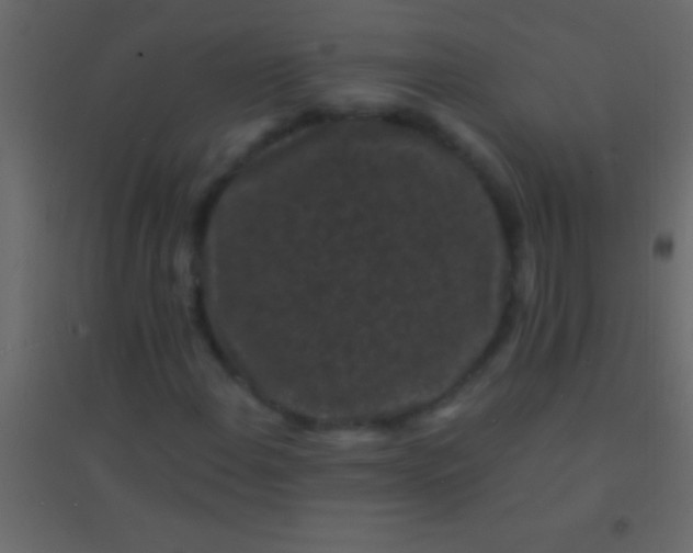 X0000094961108200712131639