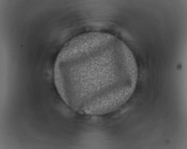 X0000094961109200712131639