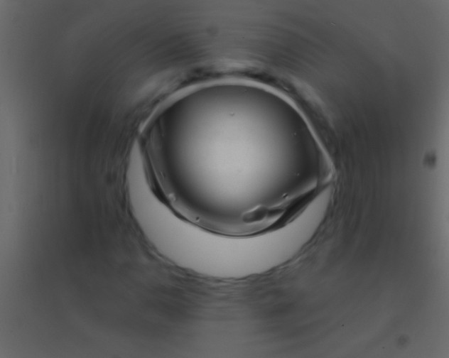 X0000094961110200712131639