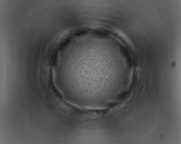 X0000094961111200712131639