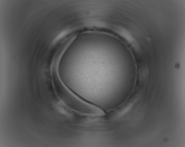 X0000094961112200712131639