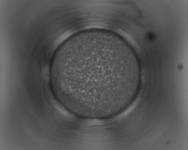 X0000094961113200712131639