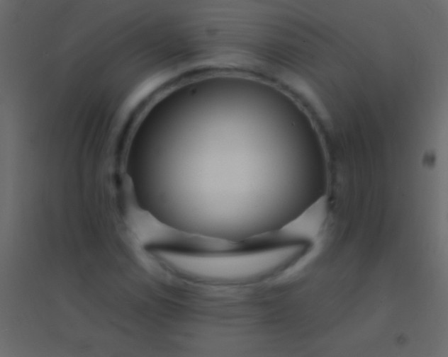 X0000094961114200712131639