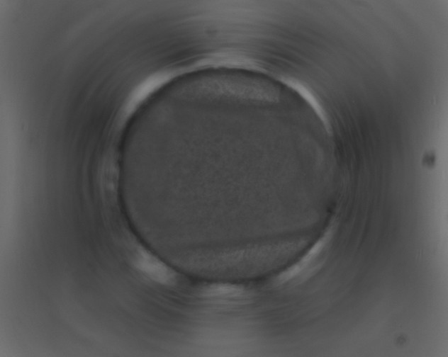 X0000094961115200712131639