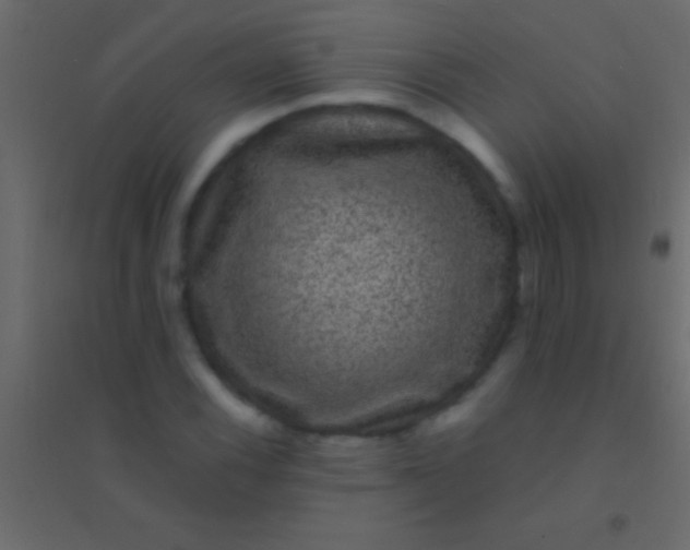 X0000094961116200712131639