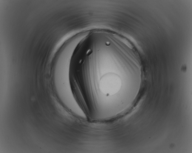 X0000094961118200712131639