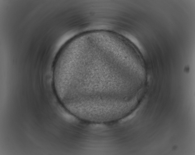 X0000094961119200712131639