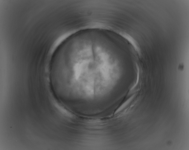 X0000094961120200712131639