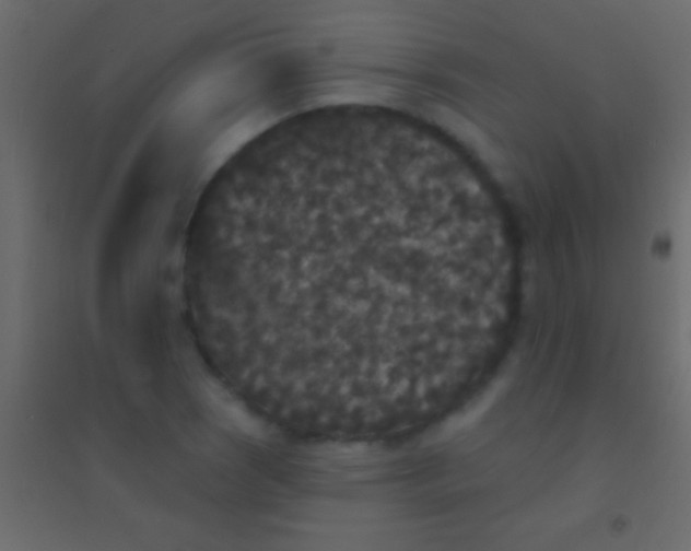 X0000094961121200712131639