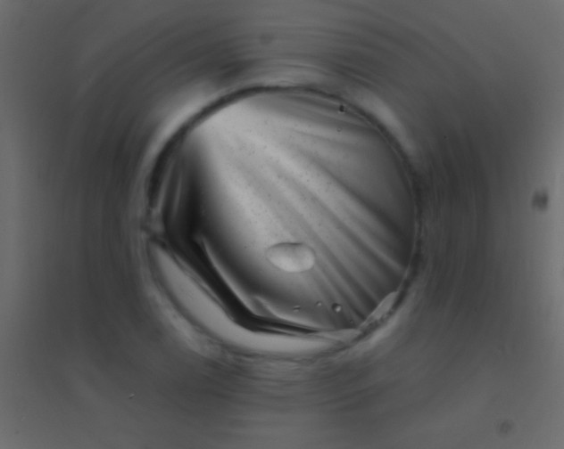 X0000094961122200712131639