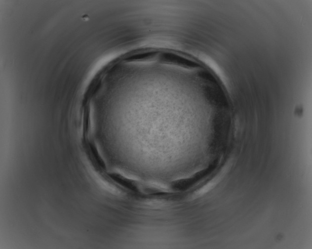 X0000094961123200712131639