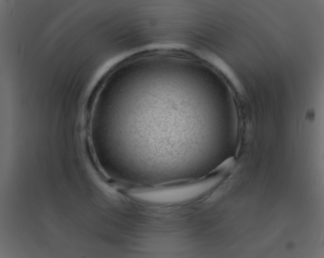 X0000094961124200712131639