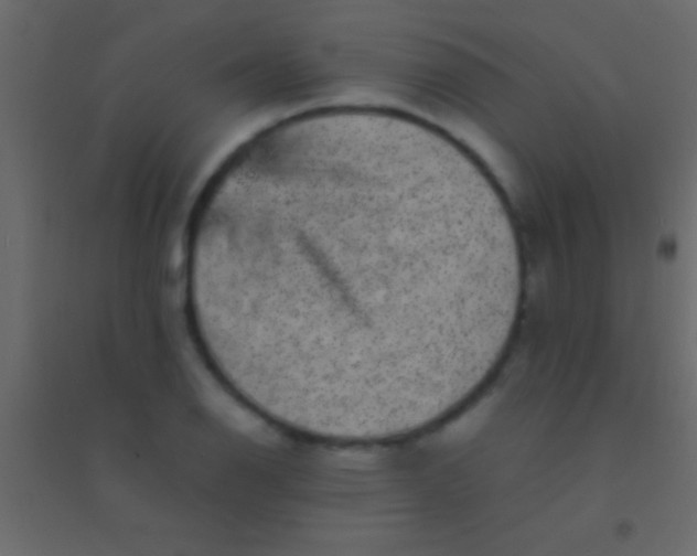 X0000094961126200712131639