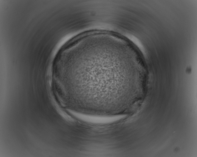 X0000094961128200712131639