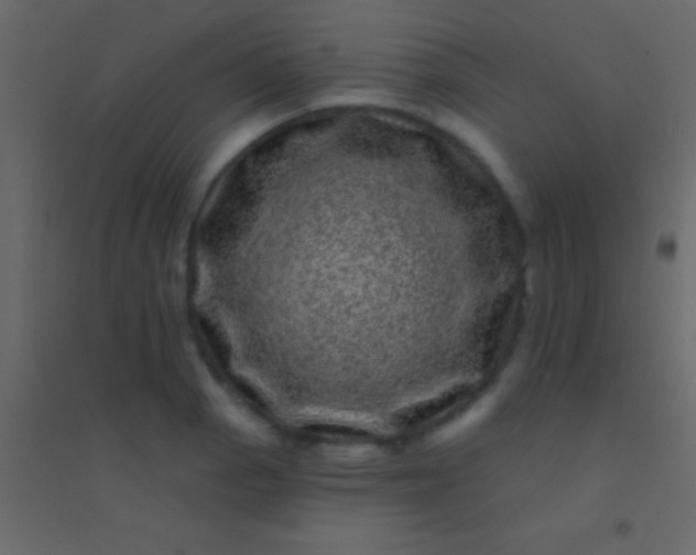 X0000094961129200712131639