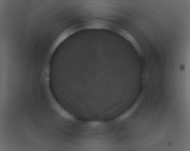 X0000094961130200712131639