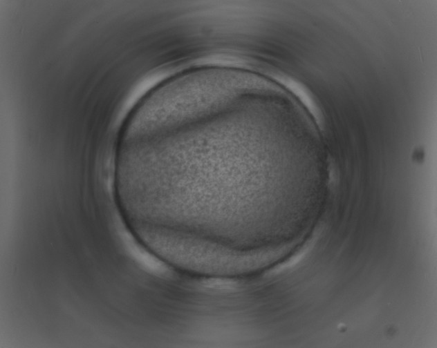 X0000094961131200712131639