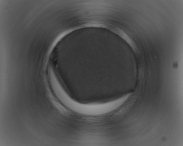 X0000094961132200712131639