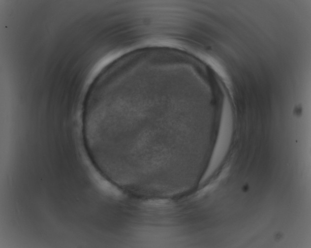 X0000094961133200712131639