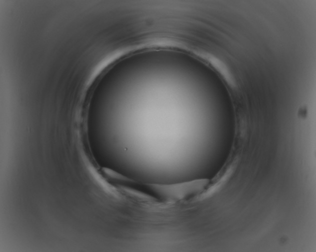 X0000094961134200712131639