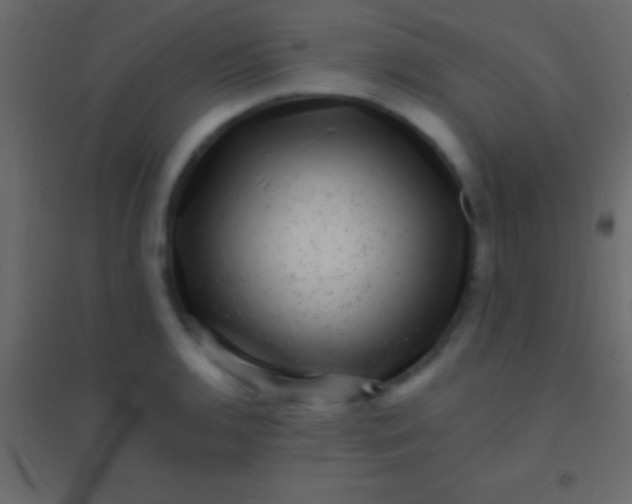 X0000094961136200712131639